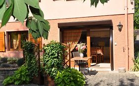 studio Fleurette